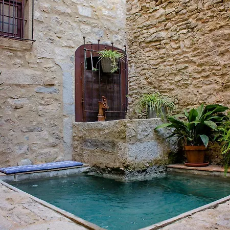 As Palau Dels Alemanys Boutique Monument Apartahotel Gerona