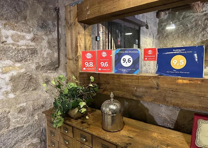 Apart-hotel As Palau Dels Alemanys Boutique Monument Girona