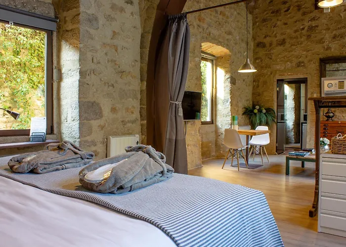 As Palau Dels Alemanys Boutique Monument Apart-hotel Girona