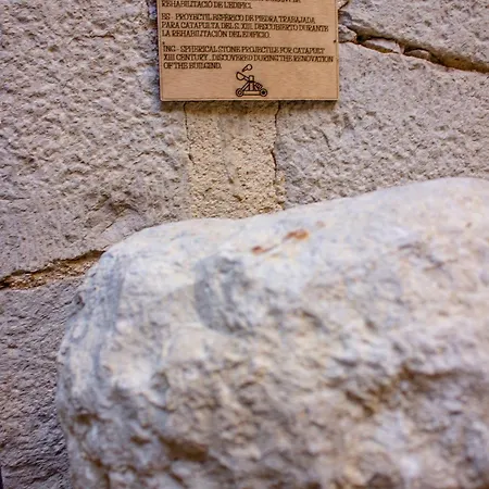 شقة فندقية As Palau Dels Alemanys Boutique Monument
