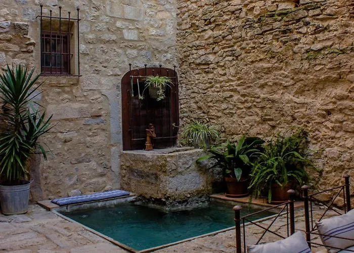 As Palau Dels Alemanys Boutique Monument Апарт-отель Жирона