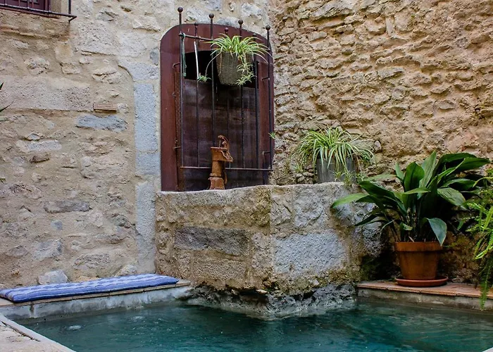 As Palau Dels Alemanys Boutique Monument Апарт-отель Жирона