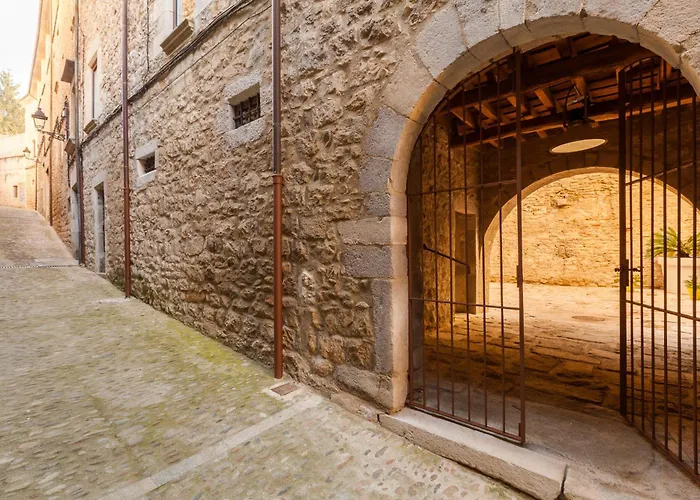 As Palau Dels Alemanys Boutique Monument Апарт-отель Жирона